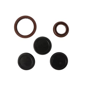 Polaris Scrambler 850 Engine Oil Seal Kit - Vertex Pistons - `15-`23